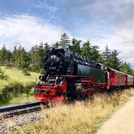 Fewo Schlossblick #Innenstadt #Garten #Netflix Von Harztraveler Wernigerode Esterno foto
